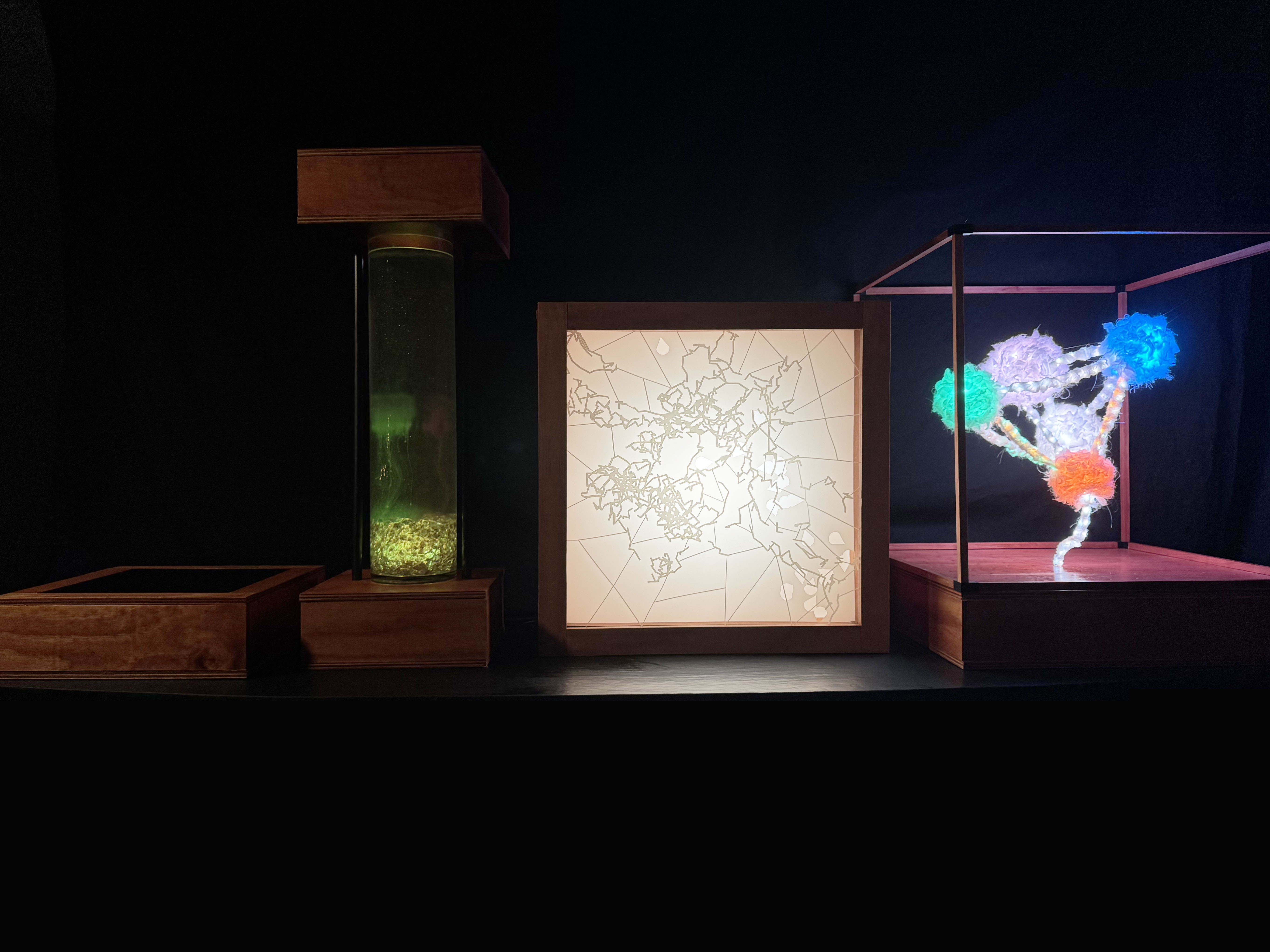 Matter to Meaning installation